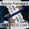 Ajanta Kamagra 12